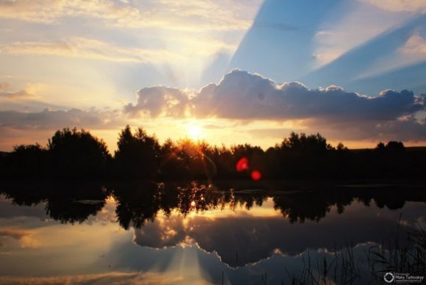 Максим Тарківський. 449  «лайків»